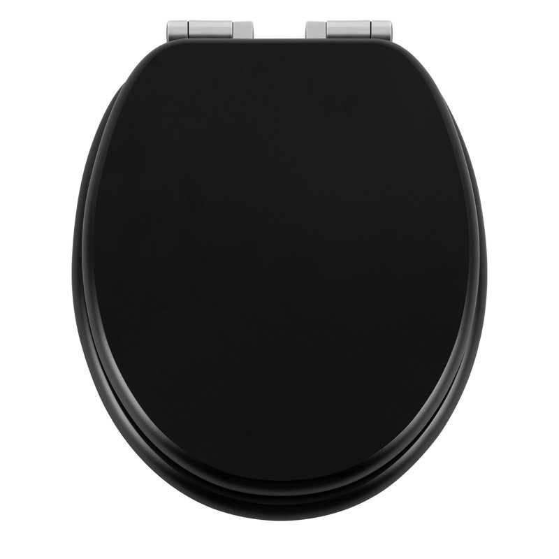 Toilet Seat, Soft-Close Toilet Lid, With Quick Release Function For Easy Cleaning, Easy Assembly, Mdf, Matte Black
