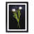 Black Framed selected