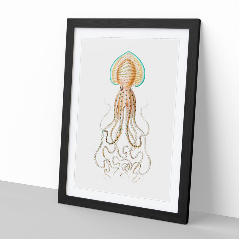 Vintage Squid Vol.1 by Ernst Haeckel - Picture Frame Painting, Black, 65cm H x 48cm W x 2cm D