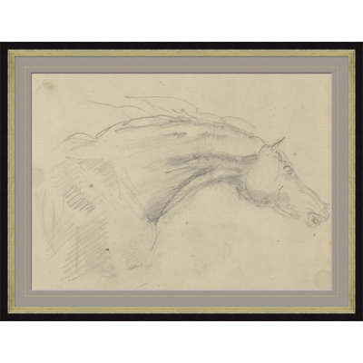 Sketch Of Horses Head Giclee Print