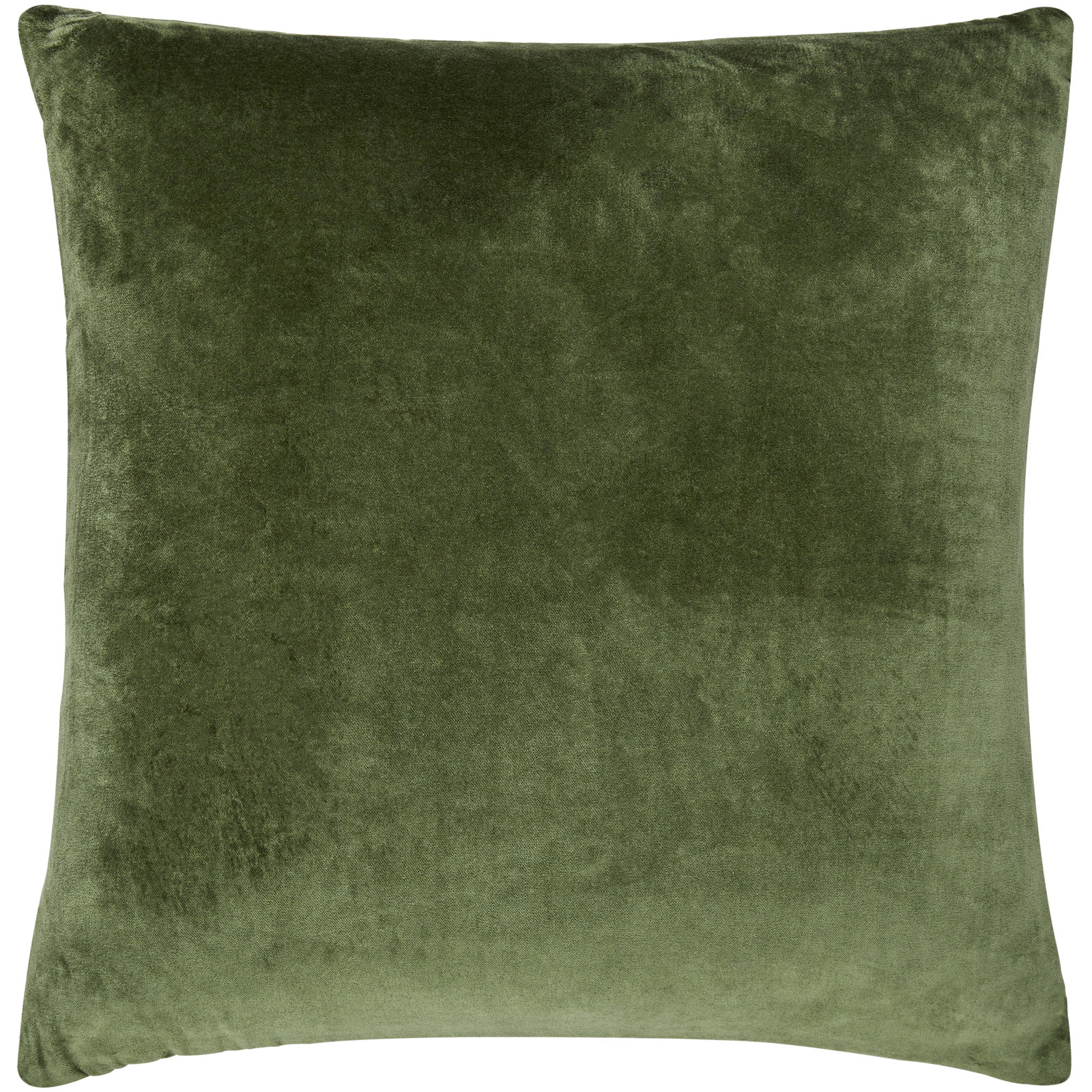Beirne Throw Pillow, 22" x 22", Polyester/Polyfill, Medium Green