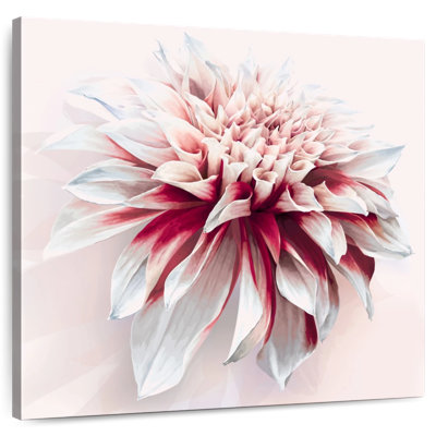 Harnek Water Dahlia