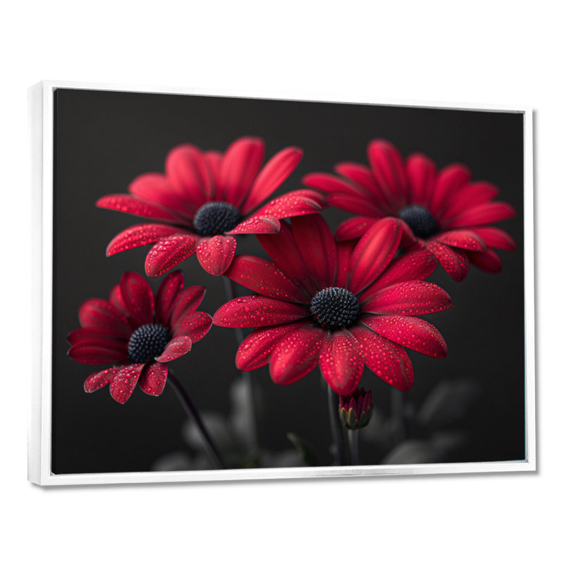 Monochromes rouges, romantiques, lueur romantique I - marguerites, impression d'art mural, Cadre flottant blanc