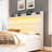Upholstered Wingback Storage Bed Frame, Led Lights Headboard&4 Storage Drawers-1405445620-1405445621