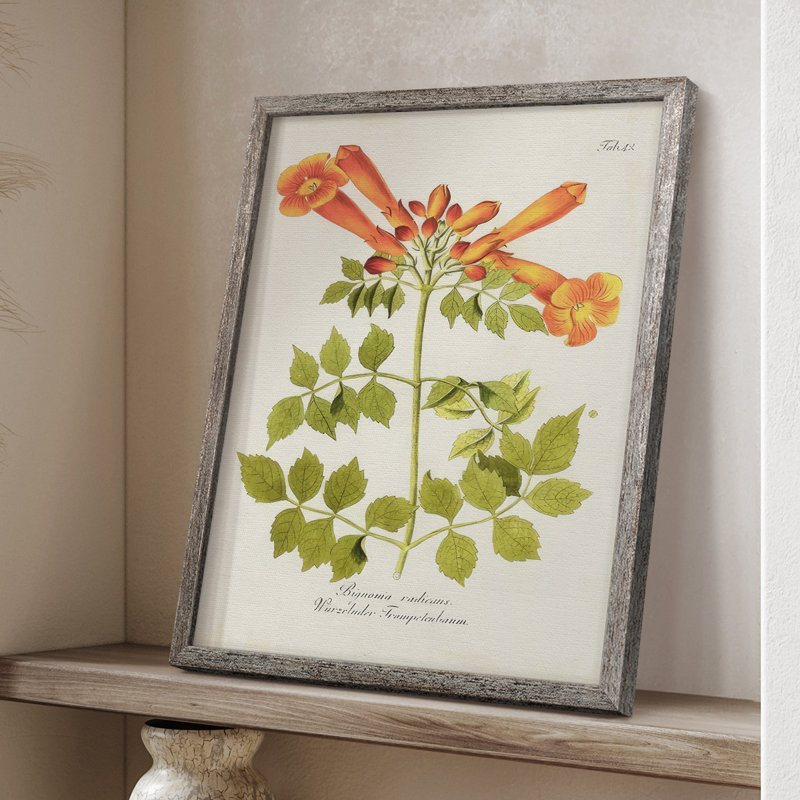 «Tropical Trumpet Flowers III», reproduction encadrée - bois massif, H 30 po x l 24 po