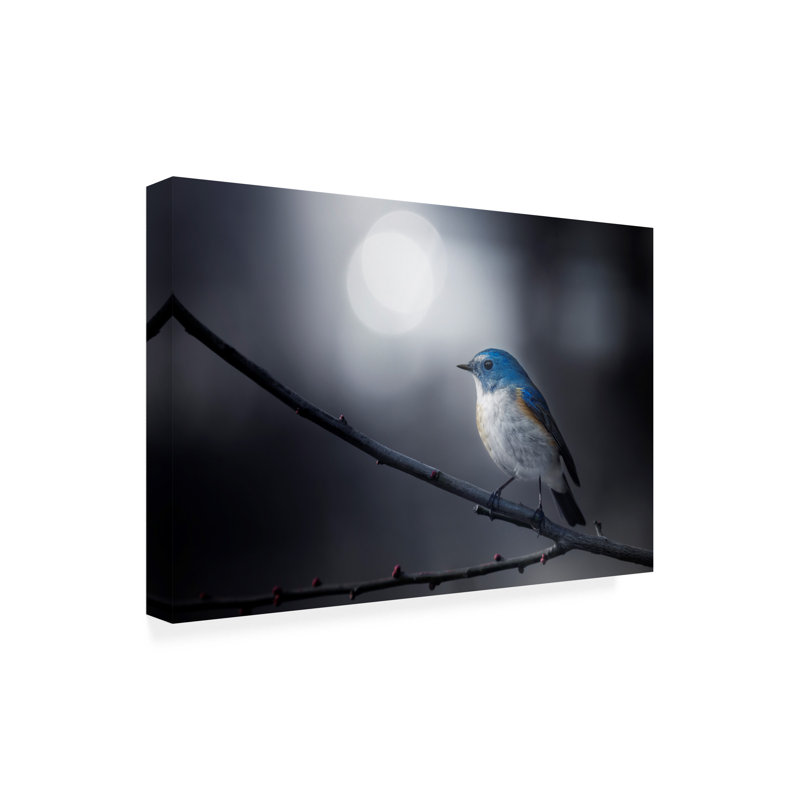 Art sur toile, oiseau bleu, H 12 po x l 19 po