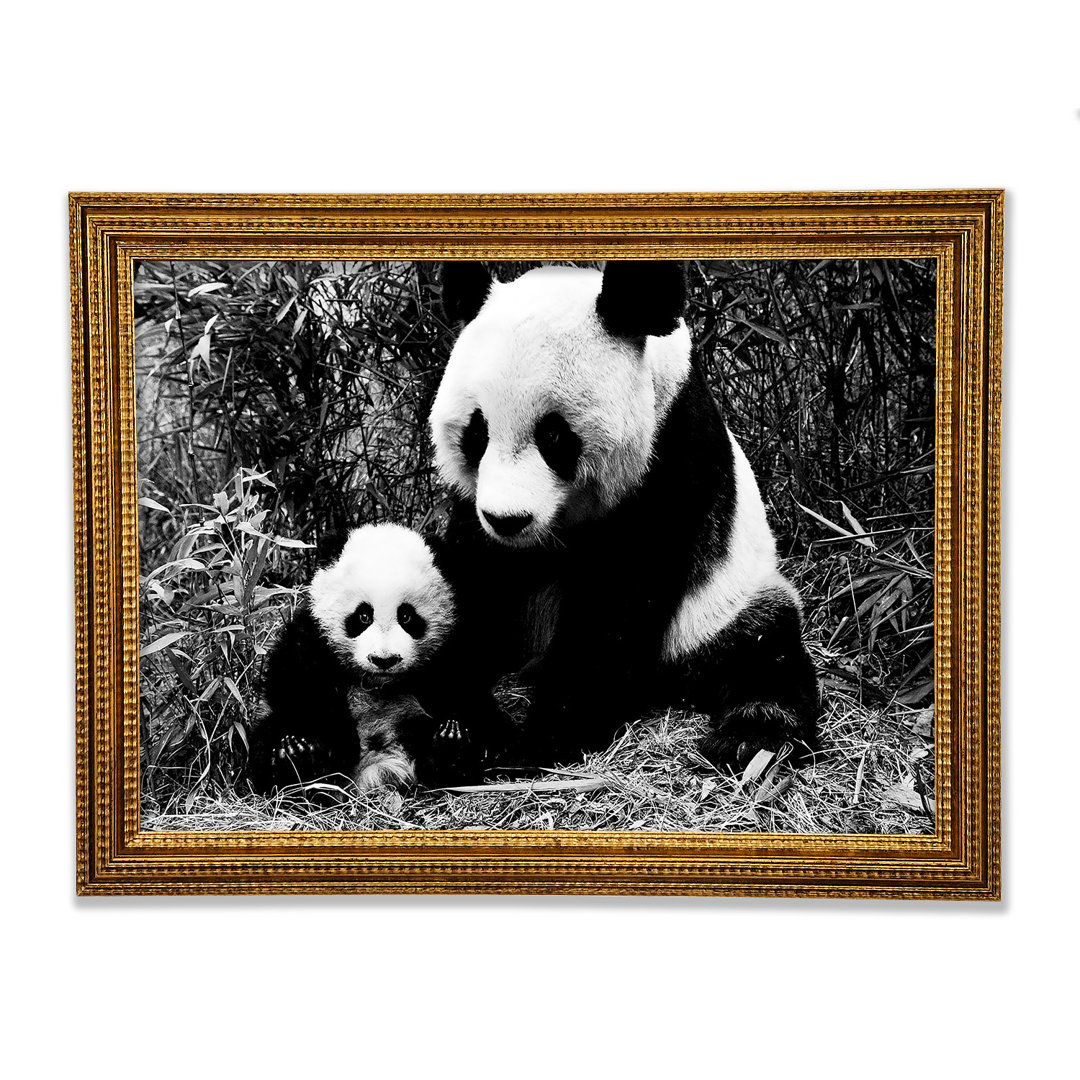 Panda Mutter und Baby - Druck