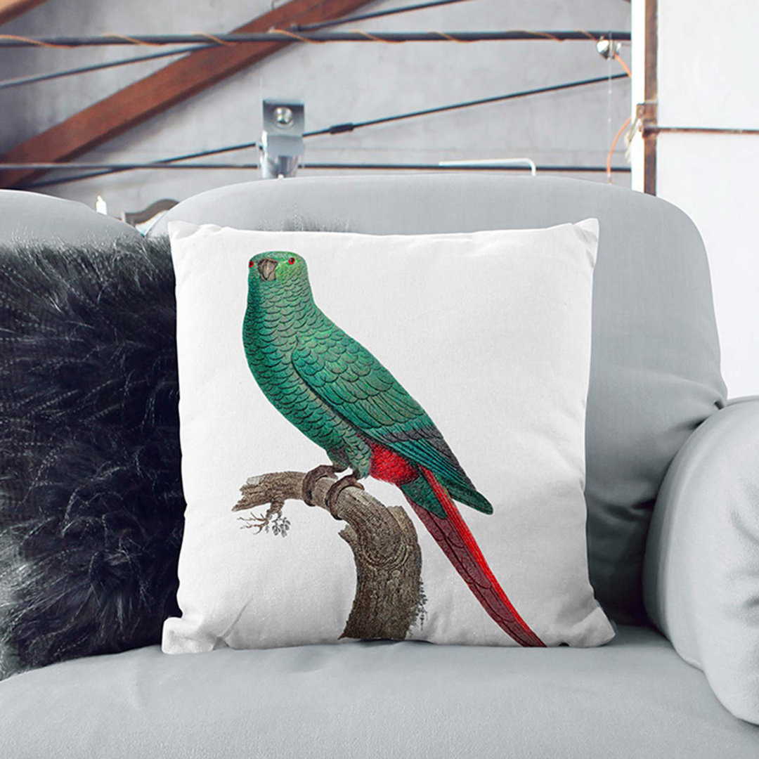 Emerald Parakeet by F. Levaillant Cushion with Filling
