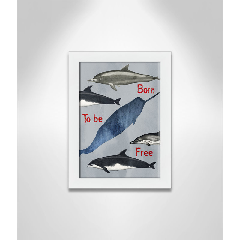 «Born to be free», impression sur papier, H 34,5 po x l 24,5 po x P 0,6 po, Encadré plat blanc
