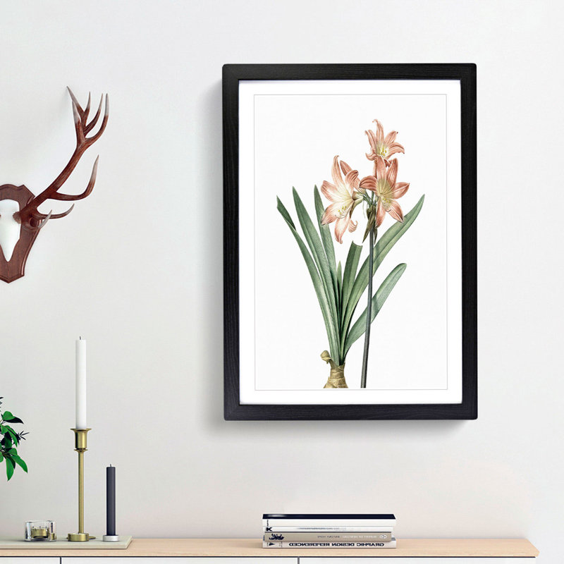 Amaryllis Flowers in Pink 1 Piece Single Picture Frame Painting, 33cm H x 24cm W x 2cm D, Black Framed