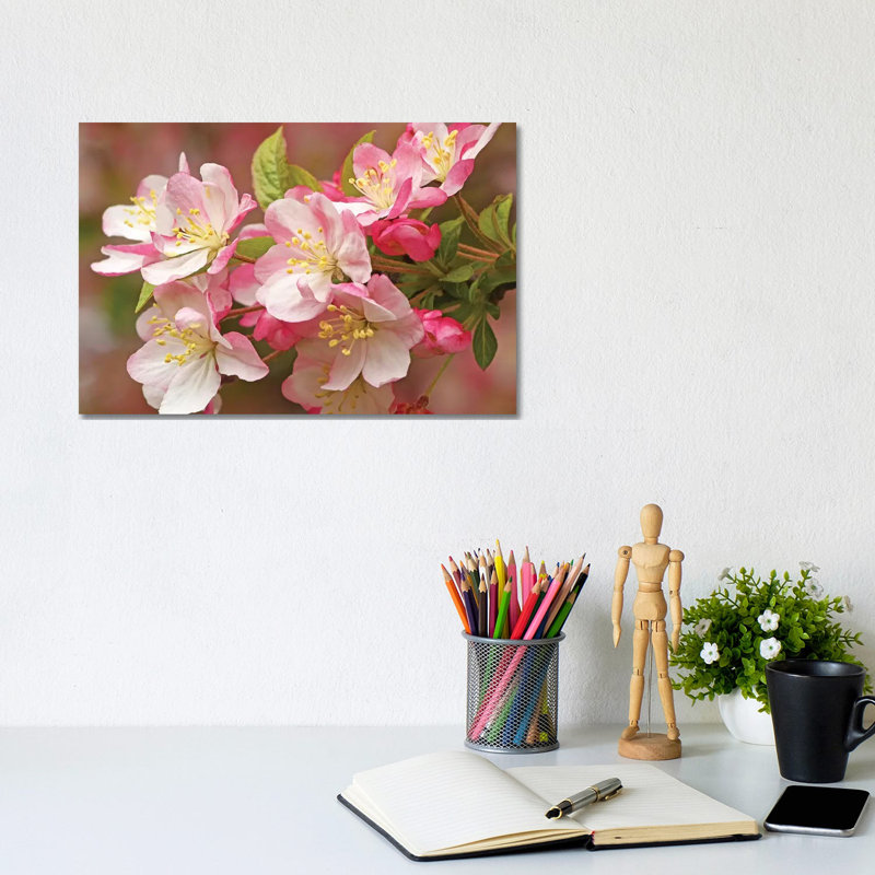 Flowering Crab by Brian Wolf - Wrapped Canvas Print, 20.32 cm H x 30.48 cm W
