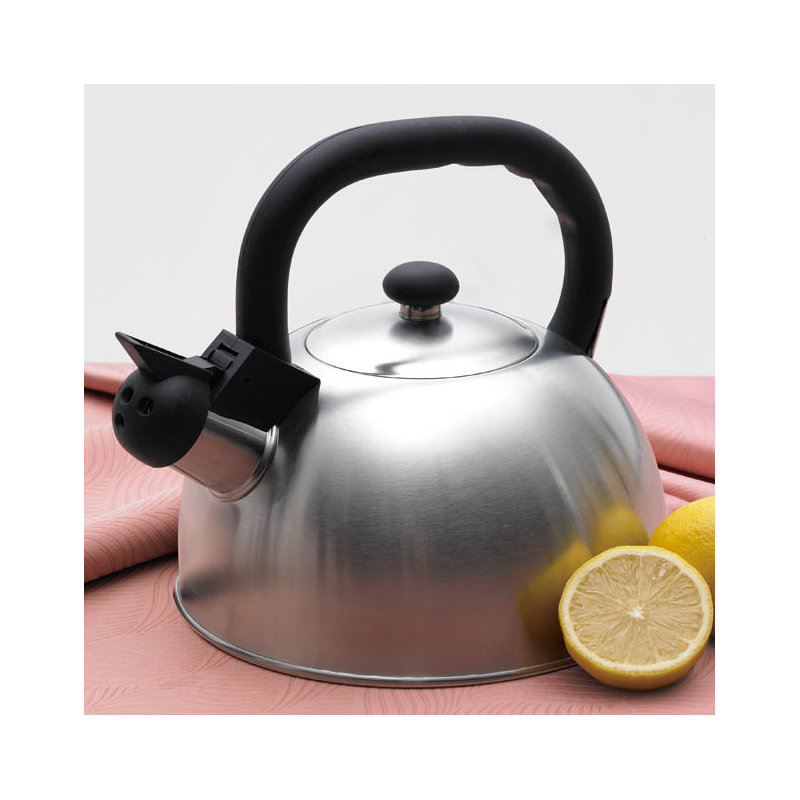 Brume Satinée 2.6-qt. Sifflet Bouilloire, Acier inoxydable