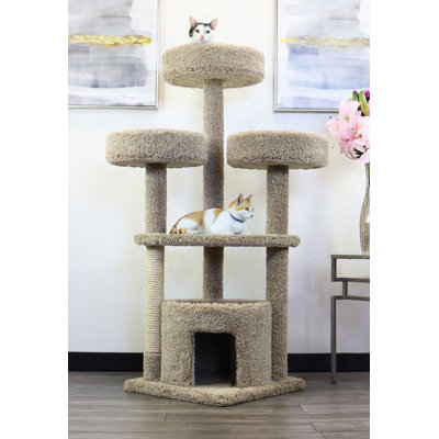 Arbre à chat 55 po avec enclos pour chat New Cat Condos