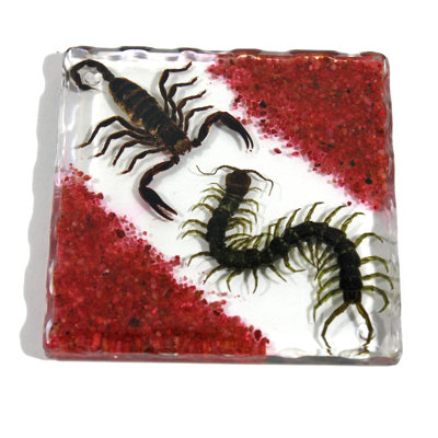 Silicone Square 1 Piece Coaster