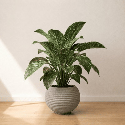 Josellyn ECOBO EcoFriendly Round Pot Planter, Heliconia Indoor Outdoor use, Four Season Use