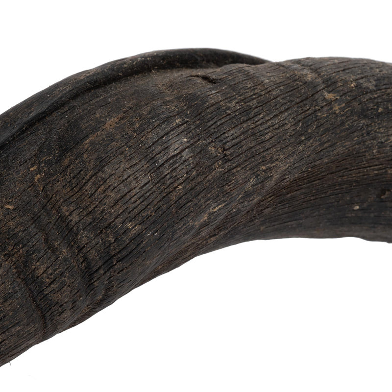 Horn - Natural Finish
