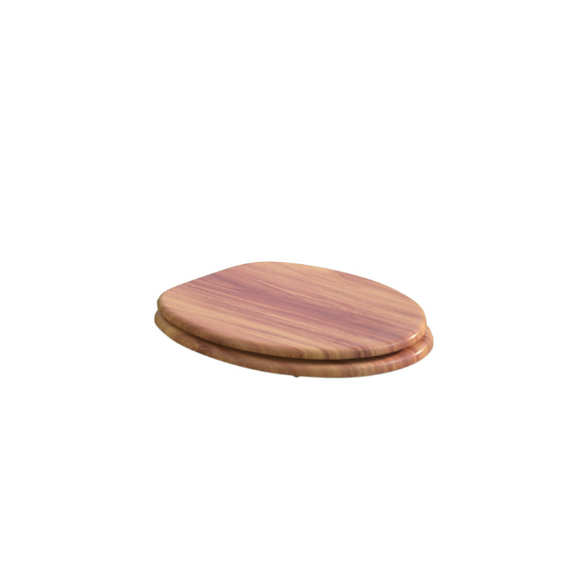 Soft Close Elongated Hard Toilet Seat