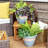 Chanze Indoor/Outdoor Planter - 12" x 12" x 10" Round Ceramic Planter 2-Count - Blue/Beige-1726537761-1726537772-1726537773