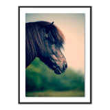 Horse Profile 5 Print by Pernille Westh