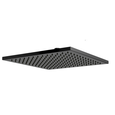 Rain Fixed Shower Head