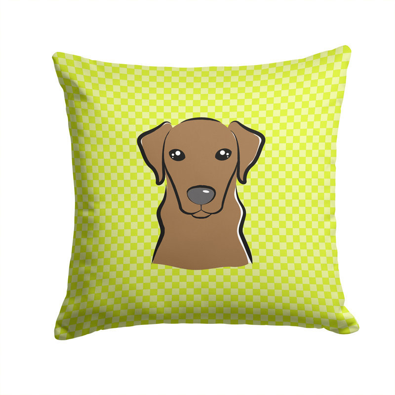 Coussin décoratif intérieur/extérieur chocolat à damier, H 14 po x l 14 po x P 4 po, Vert