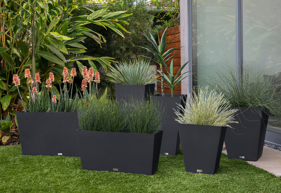 Planters