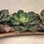 Customer photo 3 of 4