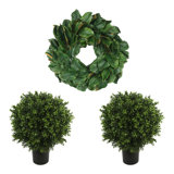 24" Holiday Magnolia Wreath with Two UV Rated Boxwood Drop-Ins