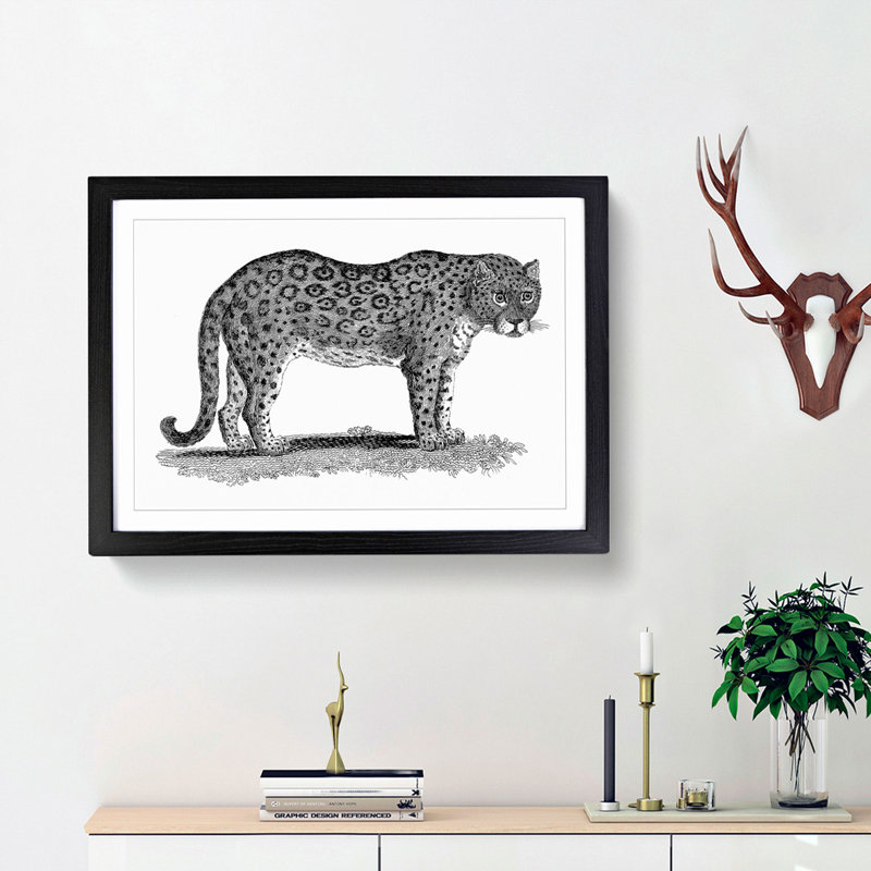 Leopard in Black & White by George Shaw - Picture Frame Drawing Print, 36cm H x 48cm W x 2cm D, Black Framed