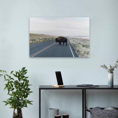 Bison Crossing, paysage, photographie de la nature, art animalier, contemporain