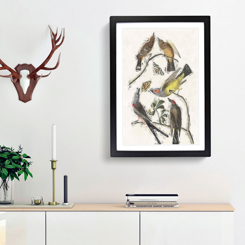 Flycatcher Birds by John Audubon - Picture Frame Painting Print, 36cm H x 27cm W x 2cm D, Black Framed