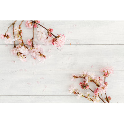 Pink Cherry Blossoms by Skarau - Wrapped Canvas Print