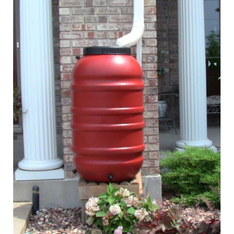 Baril d'eau de pluie 55 gallons