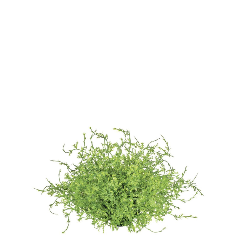 Remplisseur de vase Tora