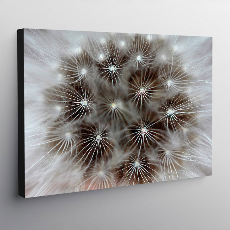 Dandelion Modern - Wrapped Canvas Print, 84cm H x 119cm W x 4cm D