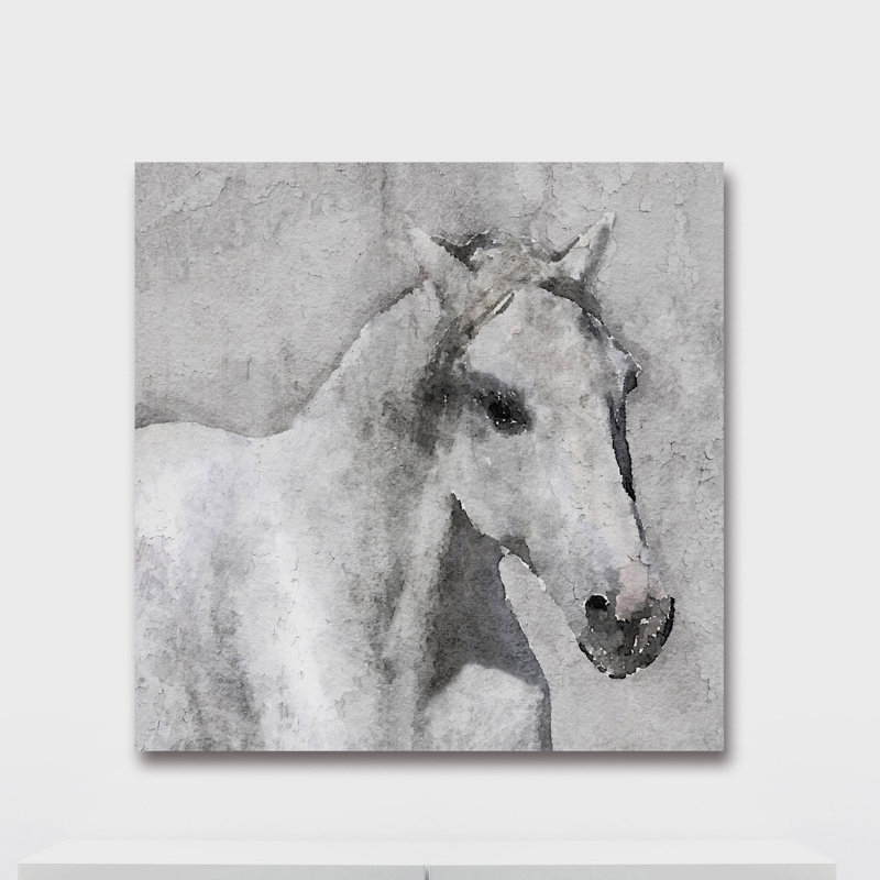« gray élégant cheval », impression sur toile, H 24 po x l 24 po, Toile tendue