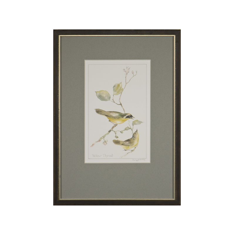 Yellow Throat Print by Daughdrill