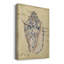 Seashell Ephemera I - impression sur toile tendue-450753672