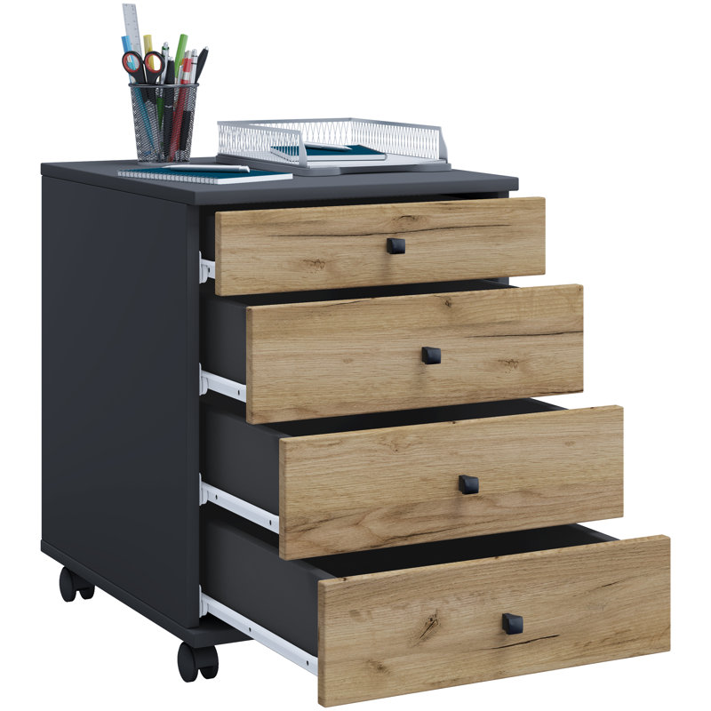 Rayiona 42cm Wide File Cabinet, 50cm H x 42cm W x 57cm D, Black/Brown