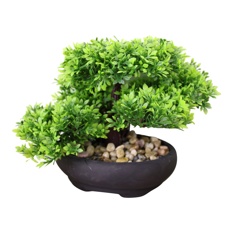 17cm Faux Bonsai Plant in Ceramic Planter