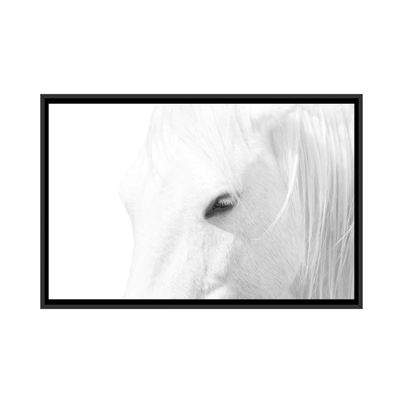 « Cheval blanc » par Marco Carmassi-impression d’art graphique, Pas de tapis, H 40 po x l 60 po x 1,5 po