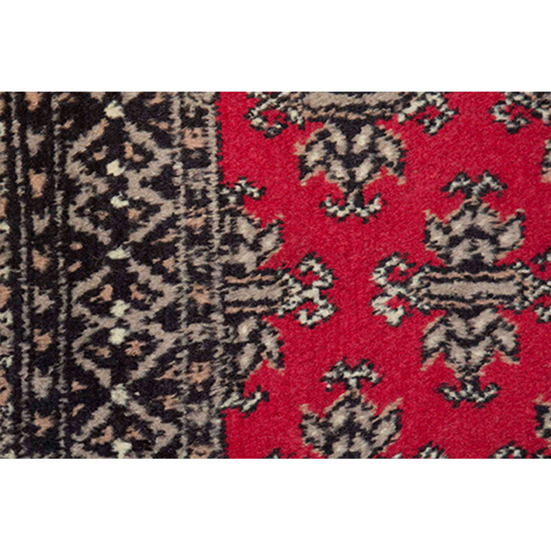 Hand-Knotted High-Quality Area Rug