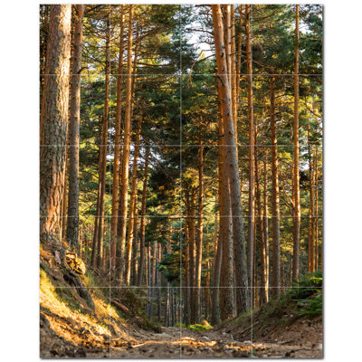 Photo d'automne 8 x 8