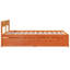 Losurdo Solid Wood Drawers Bed Frame-315125596-315125615