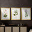 Nature Printed Botanicals V - reproduction sur mesure encadrée de qualité supérieure - 3 pièces-506778560-506778574