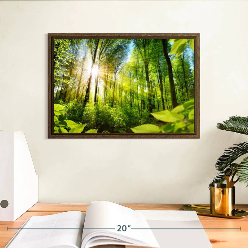 Forêt ensoleillée, 13 po x 9 po, Cadre flottant noyer