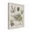 «Woodland Chart III», impression sur toile tendue-33425800