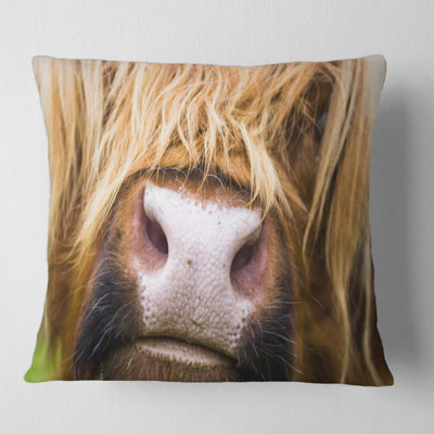 Housse et coussin de gros plan carré