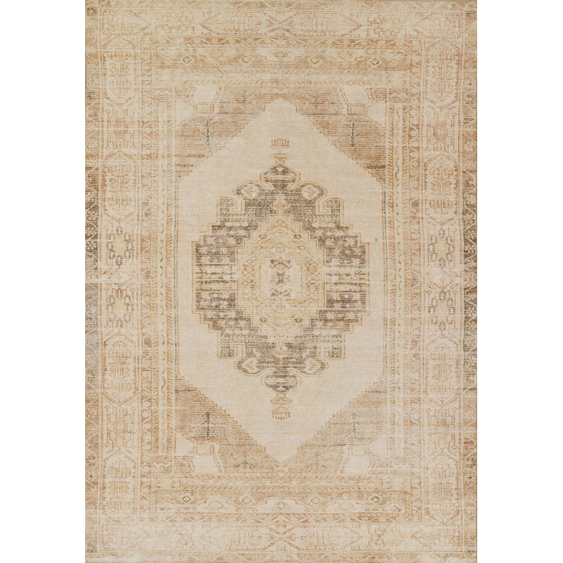 Deyanne Oriental Indoor Rug, Rectangle 4' x 6'