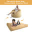 Grand fauteuil à billes et chaise longue-406739324-465230304